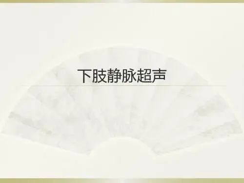 下肢静脉超声讲座PPT课件
