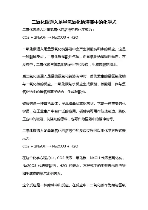 二氧化碳通入足量氢氧化钠溶液中的化学式