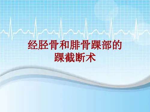 外科手术教学资料：经胫骨和腓骨踝部的踝截断术讲解模板