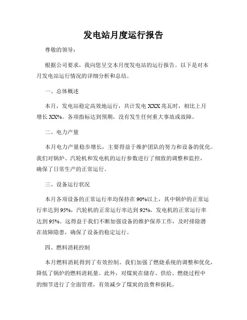 发电站月度运行报告