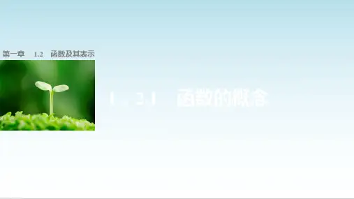 高中数学必修一第一章 集合与函数的概念 1.2.1课件