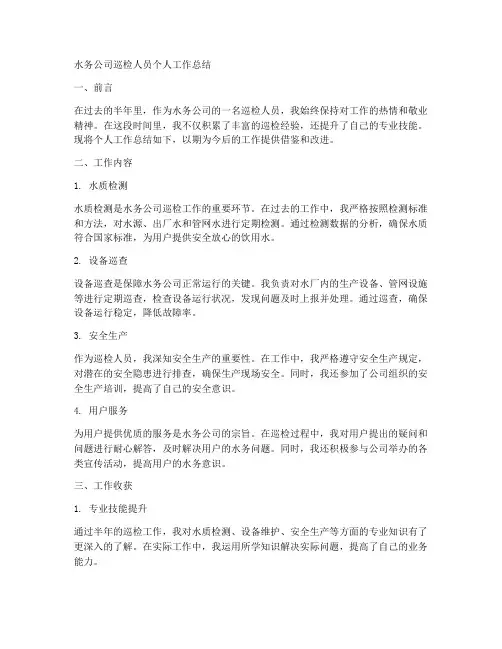 水务公司巡检人员个人工作总结