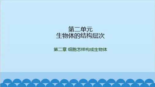 人教版生物七年级上册 2.2.4单细胞生物课件