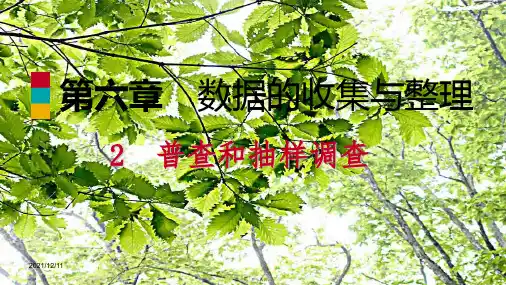 七年级数学上册 第六章 数据的收集与整理 6.2 普查和抽样调查导学课件