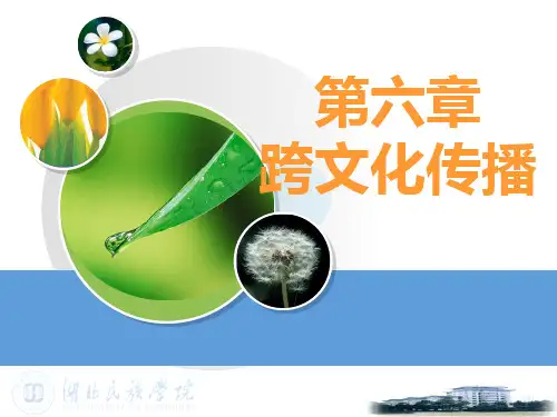 六跨文化传播PPT课件