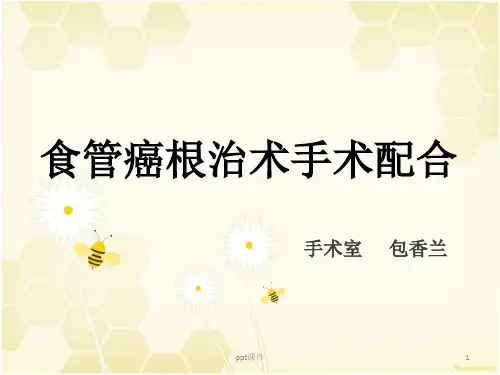 食管癌根治术  ppt课件