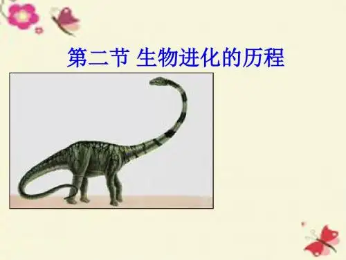 苏科版生物八下23.2《生物进化的历程》ppt课件3