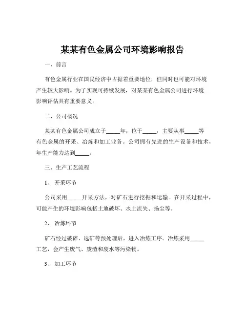 某某有色金属公司环境影响报告