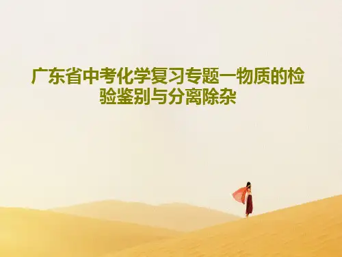 广东省中考化学复习专题一物质的检验鉴别与分离除杂PPT55页