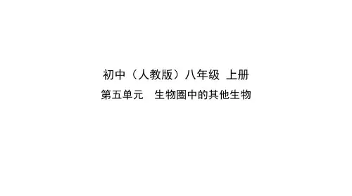 人教版生物八年级上册课件 第七节哺乳动物(55张ppt)