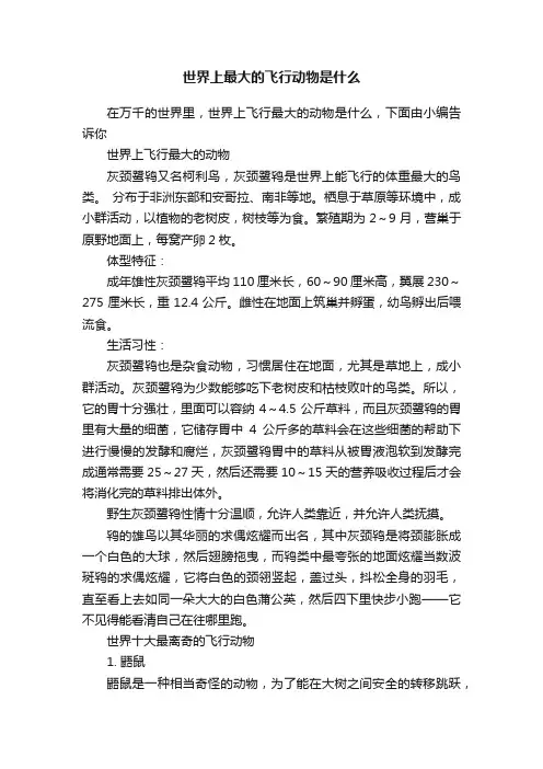 世界上最大的飞行动物是什么