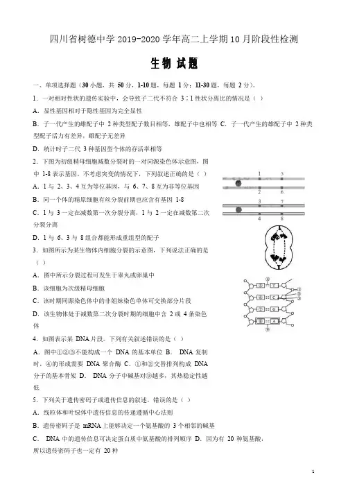 精校Word版答案全---2019-2020学年四川省树德中学高二上学期10月阶段性检测生物
