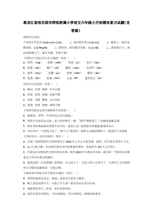 黑龙江省哈尔滨市师范附属小学语文六年级小升初期末复习试题(含答案)
