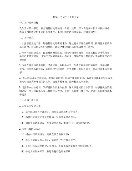 村第一书记个人工作计划