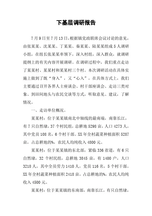 下基层调研报告