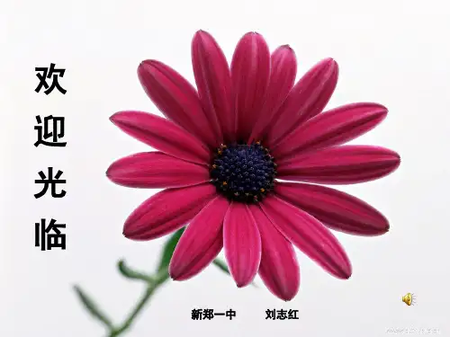 打造靓丽开头——议论文开头方法训练ppt