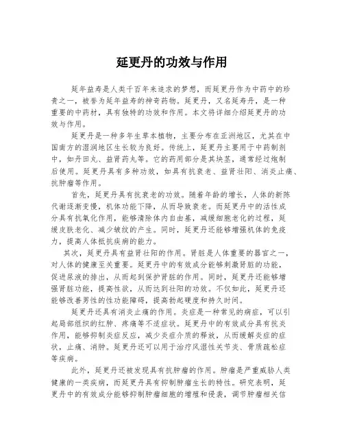 延更丹的功效与作用