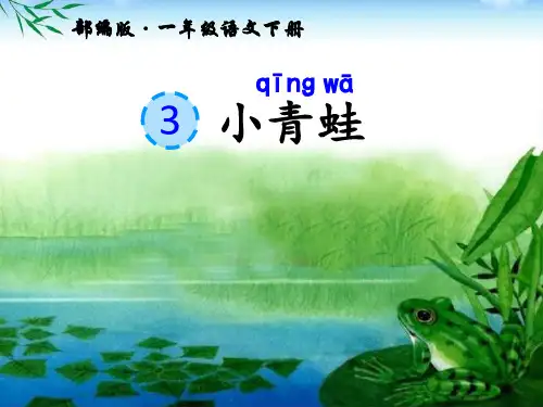 2019年部编版一年级下册语文识字3《小青蛙》公开课PPT课件