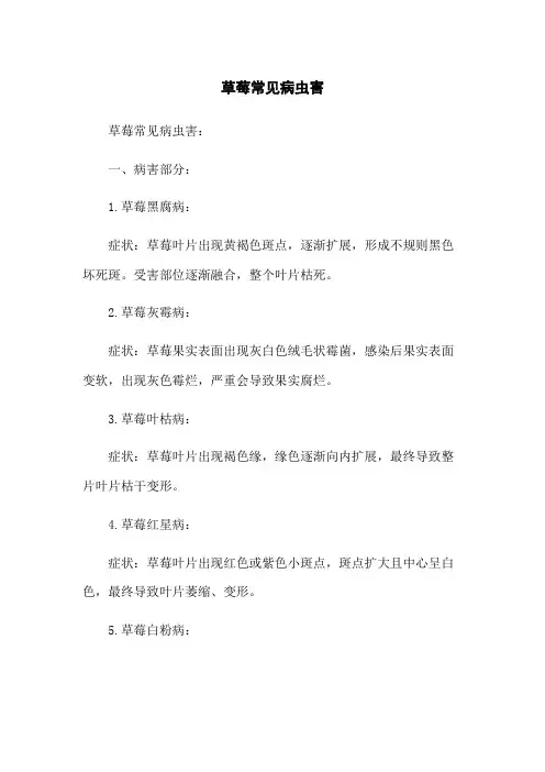 草莓常见病虫害