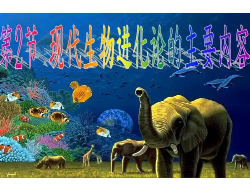 高中生物必修二课件：7.2. 现代生物进化理论的主要内容(共28张PPT)