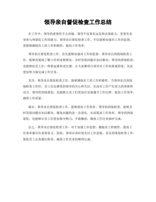 领导亲自督促检查工作总结
