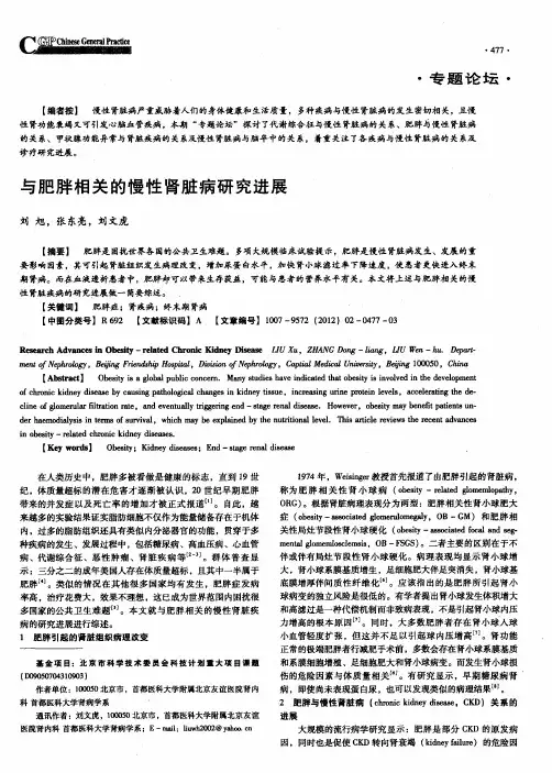 与肥胖相关的慢性肾脏病研究进展