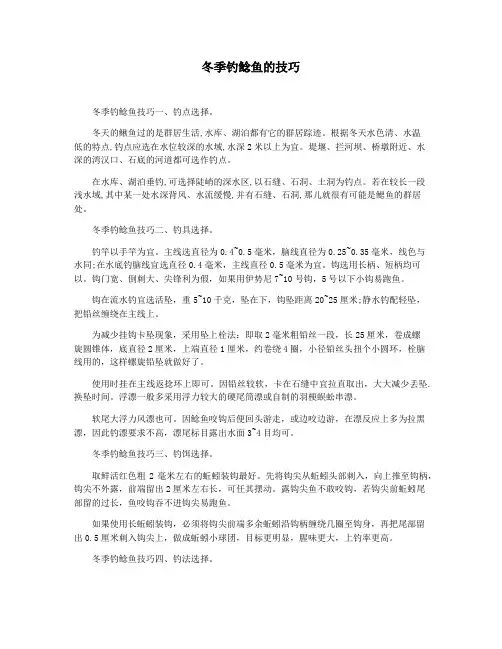 冬季钓鲶鱼的技巧