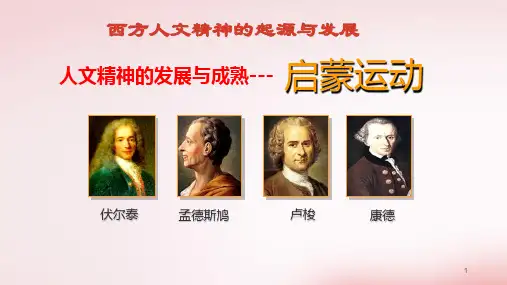 高中历史一轮复习启蒙运动优质课精品课件