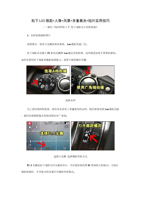 松下LX3微距 人像 风景 多重暴光 短片实用技巧