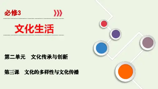 高考政治一轮复习第3课文化的多样性与文化传播ppt课件必修3