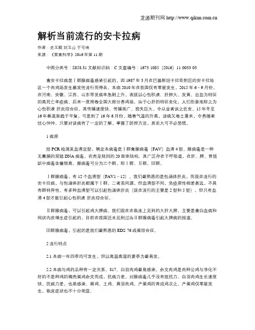解析当前流行的安卡拉病