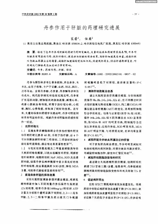 丹参作用于肝脏的药理研究进展