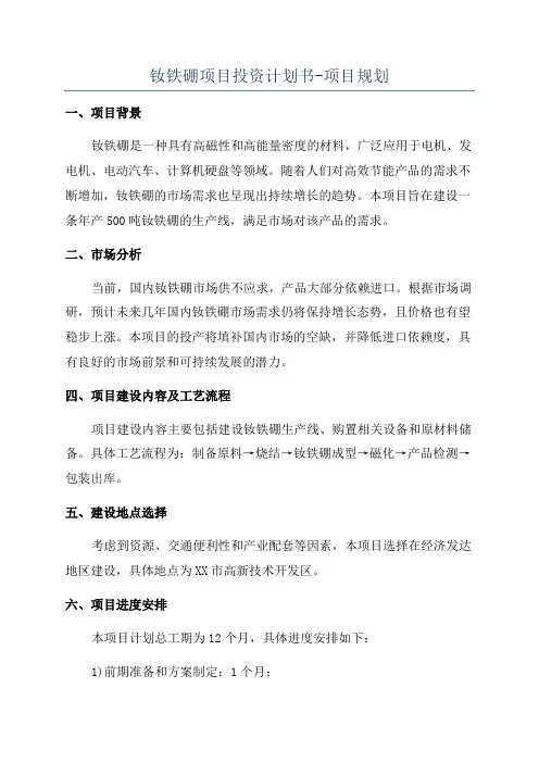 钕铁硼项目投资计划书-项目规划