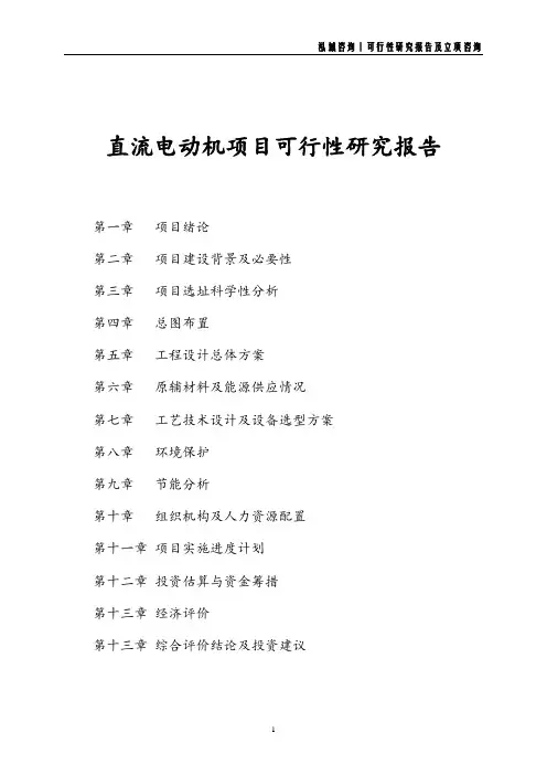 直流电动机项目可行性研究报告