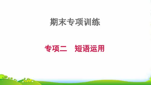2022九年级英语上册 期末专项训练二 短语运用习题课件外研版