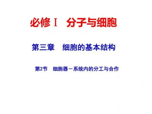 2015届高考生物一轮复习课件：1.2.2 细胞器__系统内的分工合作(人教版)