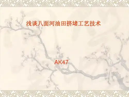 浅谈八面河油田挤堵工艺
