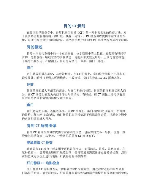 胃的CT解剖