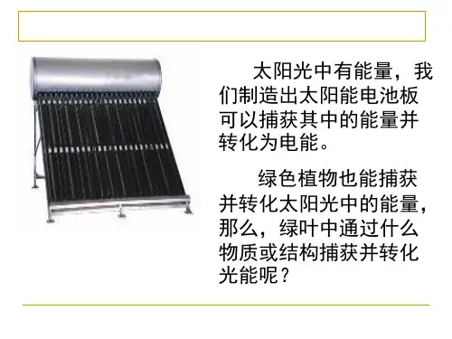 能量之源光与光合作用优质课ppt课件