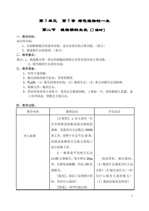 植物根的生长教案