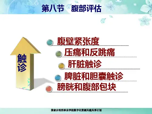 腹部触诊PPT课件