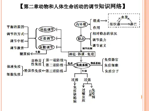 必修三第二章 动物和人体生命活动的调节 复习PPT课件