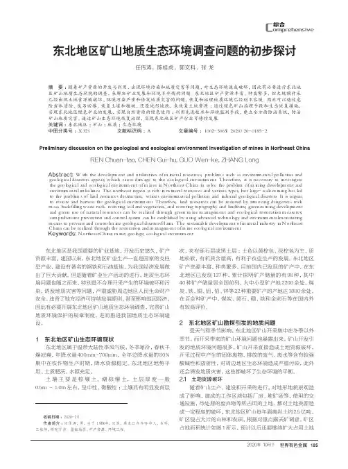 东北地区矿山地质生态环境调查问题的初步探讨