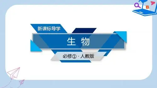 高中生物第四章细胞的物质输入和输出本章整合课件新人教版必修1
