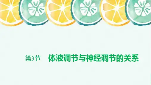 高中生物选修1(新教材)精品课件：3-3 体液调节与神经调节的关系 人教版