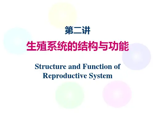 02.生殖系统的结构与功能