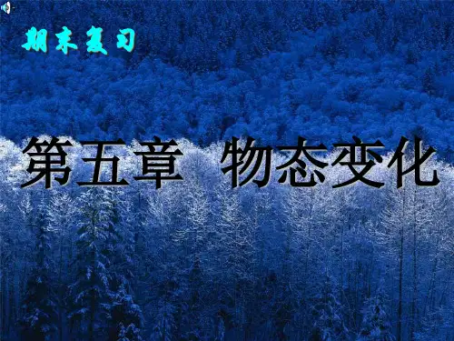 (教科版)物理八年级上册第五章物态变化全套课件 其他版5优秀课件