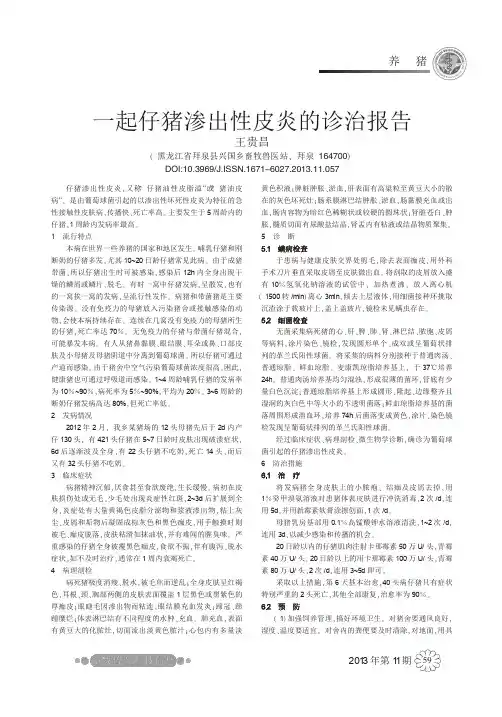 一起仔猪渗出性皮炎的诊治报告