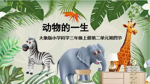 大象版小学科学新三年级上册科学《动物的一生》教学课件