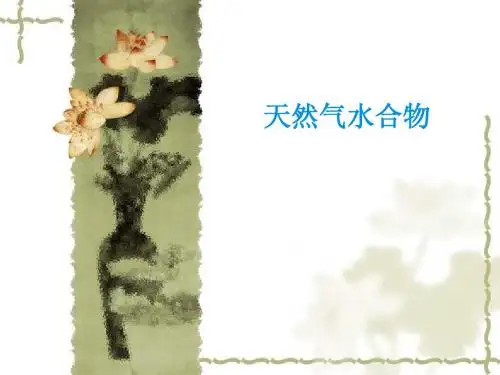 天然气水合物